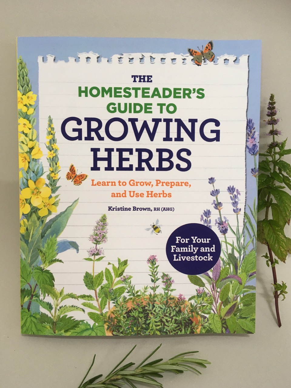 https://mendolaart.com/wp-content/uploads/2020/09/Growing-Herbs-1-100x100.jpg