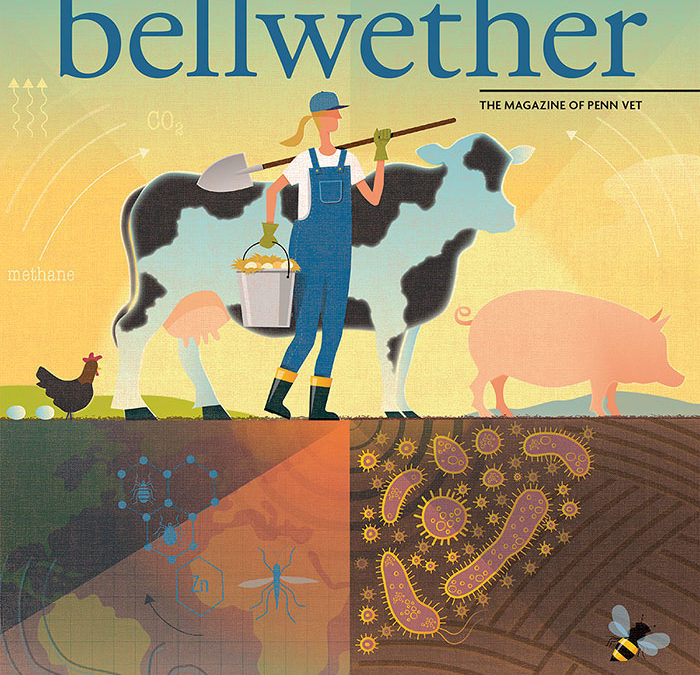 Bellwether Magazine