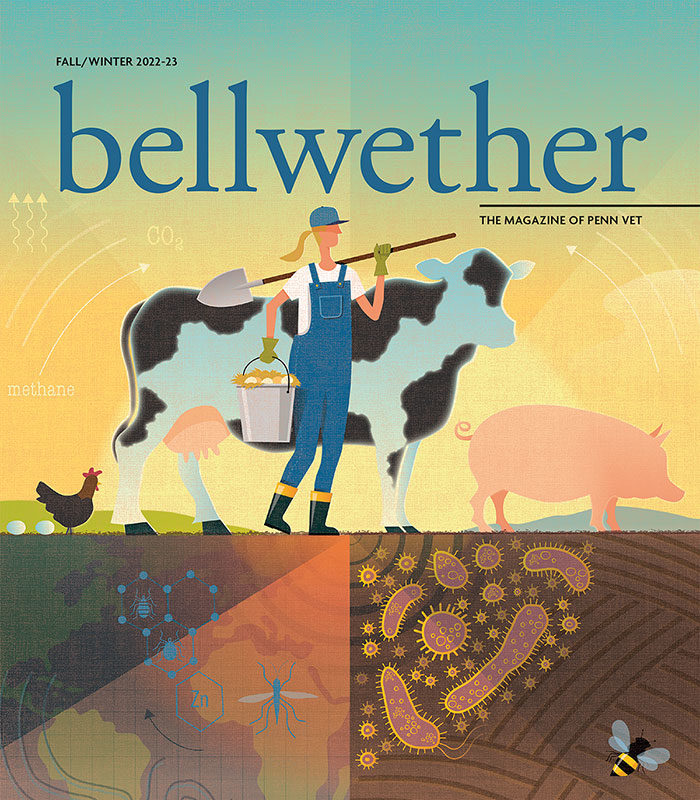 https://mendolaart.com/wp-content/uploads/2022/10/rocco-baviera-PV-Bellwether-Fall_Winter-2022_23_Cover_1200.jpg