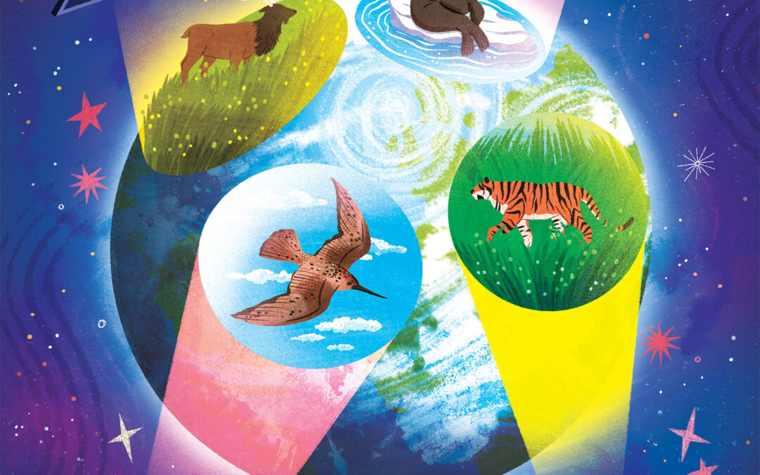 BBC Wildlife Magazine