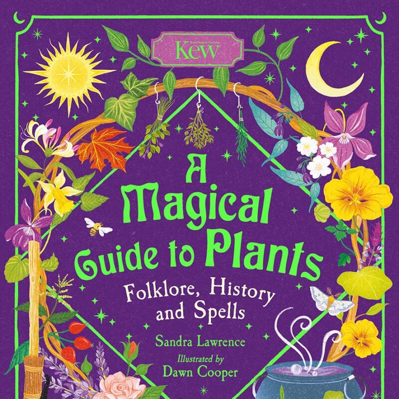 https://mendolaart.com/wp-content/uploads/2026/03/DawnC_AMagicalGuideToPlants_Cover_Web.jpg https://mendolaart.com/wp-content/uploads/2026/03/DawnC_AMagicalGuideToPlants_Cover_Web.jpg